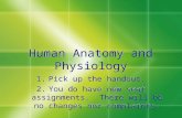 Human Anatomy and Physiology 1.Pick up the handout. 2.You do have new seat assignments. There will be no changes nor complaints. 1.Pick up the handout.