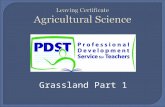 Grassland Part 1.  Categories of grassland found in Ireland.  Grass species found in these grasslands.  Grassland Ecology.