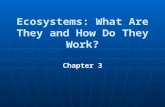 Ecosystems: What Are They and How Do They Work? Chapter 3.