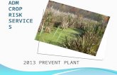 ADM CROP RISK SERVICES 2013 PREVENT PLANT. Definition of Prevent Plant Failure to plant the insured crop by the final plant date designated in the special.