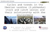 Cycles and trends in the Iberian sardine (S. pilchardus) stock and catch series and their relationship with the environment M.B. Santos, G.J. Pierce, I.