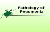 Pathology of Pneumonia. Pneumonia 2 Normal Lung.