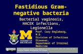 Fastidious Gram-negative bacteria Bacterial vaginosis, HACEK infections, Legionella Prof. Cary Engleberg, M.D. Division of Infectious Diseases, Department.