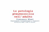 La patologia pneumococcica nell’adulto Francesco Blasi Dipartimento Fisiopatologia e Trapianti Università degli Studi di Milano.
