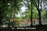 Biodiversity and Stability Dr. Mathew Williams. Complexity and stability Does a cellular process need all those processes? Must an organism have so many.