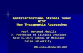 Gastrointestinal Stromal Tumor GIST New Therapeutic Approaches Prof. Mohamed Abdulla A. Professor of Clinical Oncology Kasr El-Aini School of Medicine.