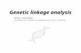 Genetic linkage analysis Dotan Schreiber According to a series of presentations by M. Fishelson.