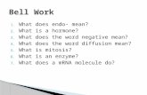 1. What does endo- mean? 2. What is a hormone? 3. What does the word negative mean? 4. What does the word diffusion mean? 5. What is mitosis? 6. What is.