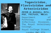 Togaviridae, Flaviviridae and Arteriviridae PETER H. RUSSELL, BVSc, PhD, FRCPath, MRCVS Department of Pathology and Infectious Diseases, The Royal Veterinary.