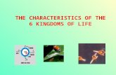 THE CHARACTERISTICS OF THE 6 KINGDOMS OF LIFE. Alive? To be considered living, an organism must… –Contain all 7 characteristics of life DNA Reproduce.