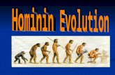 Definitions Hominin – term that refers to humans and their extinct erect-walking ancestors. They belong to the tribe homini. Hominin – term that refers.