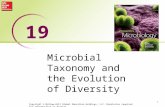 Microbial Taxonomy and the Evolution of Diversity 1 19 Copyright © McGraw-Hill Global Education Holdings, LLC. Permission required for reproduction or.