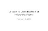 Lesson 4: Classification of Microorganisms February 3, 2015.