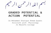 GRADED POTENTIAL & ACTION POTENTIAL Dr.Mohammed Sharique Ahmed Quadri Assistant prof. Physiology Al Maarefa College.