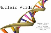 Nucleic Acids Meghan Arora Jeff Chen Julia Kubik Pratibha Sharma Anna Ye.