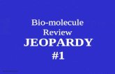 Bio-molecule Review JEOPARDY #1 S2C06 Jeopardy Review.