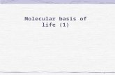 1 Molecular basis of life (1). 2 Chemical basis of molecular interactions Polar and nonpolar molecules Water Universal solvent O-H bonds are polarized.
