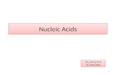 Nucleic Acids IUG, Spring 2014 Dr. Tarek Zaida IUG, Spring 2014 Dr. Tarek Zaida 1.
