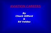AVIATION CAREERS By Chuck Gifford & Ed Valdez. FLIGHT  FLIGHT INSTRUCTOR  CHARTER PILOT  MILITARY PILOT  AIRLINE PILOT.