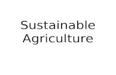 Sustainable Agriculture. Definition A sustainable agricultural system involves the modification of agricultural techniques in both existing industrialized.