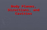 Body Planes, Directions, and Cavities. Introduction ► to care for patients, you must be able to identify areas of the body for treatments, injections,