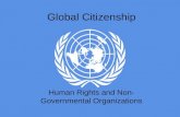 Global Citizenship Human Rights and Non- Governmental Organizations.