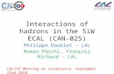 Interactions of hadrons in the SiW ECAL (CAN-025) Philippe Doublet - LAL Roman Pöschl, François Richard - LAL CALICE Meeting at Casablanca, September 22nd.
