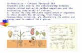 Co-Requisite – Content Standard SB3 Students will derive the relationship between single-celled and multi-celled organisms and the increasing complexity.