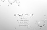 URINARY SYSTEM PERIOD: 2 BY:KATHERINE GARCIA CLARISSA GARCIA KIMBERLY ARZOLA.