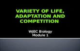VARIETY OF LIFE, ADAPTATION AND COMPETITION WJEC Biology Module 1.