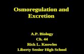 Osmoregulation and Excretion A.P. Biology Ch. 44 Rick L. Knowles Liberty Senior High School.