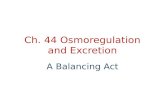 Ch. 44 Osmoregulation and Excretion A Balancing Act.