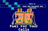 Fuel For Your Cells Part 4: Your Own Personal Gas Station.