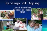 Biology of Aging Lotta Granholm Center on Aging MUSC.