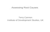 Assessing Root Causes Terry Cannon Institute of Development Studies, UK.