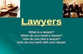 Lawyers What is a lawyer? When do you need a lawyer? How do you find a lawyer? How do you work with your lawyer.