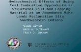 SHAWN NAYLOR GREG A. OLYPHANT TRACY D. BRANAM. Pros: Disposal of large volumes of byproducts associated with energy production Minimal disturbance of.