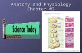 Anatomy and Physiology Chapter #3. 3.1 Introduction  Cells vary considerable in size, shape, and function.  The shape of cells in the body vary based.