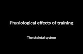 Physiological effects of training The skeletal system.