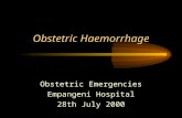 Obstetric Haemorrhage Obstetric Emergencies Empangeni Hospital 28th July 2000.
