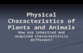 Physical Characteristics of Plants and Animals How are inherited and acquired characteristics different?