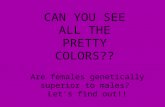 CAN YOU SEE ALL THE PRETTY COLORS?? Are females genetically superior to males? Let’s find out!!