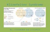 Klinefelter Syndrome By: Little6CB18 and Little6CC3.