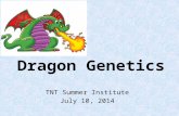 Dragon Genetics TNT Summer Institute July 10, 2014.