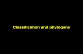 Classification and phylogeny. Early classification schemes Fish & whales Flies & birds Frogs & alligators Squirrels & monkeys.