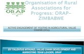 ACTIVE ENGAGEMENT OF YOUTHS IN AGRICUTURAL VALUE CHAINS (VCs): BY TALENTUS MTHUNZI, VALUE CHAIN DEVELOPMENT AND MARKETING TEAM LEADER, ORAP.