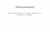 Photosynthesis The conversion of light energy to chemical energy.
