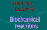 PHT 381 Lab# 6. 1- Catalase Test H2O2H2O2 Catalase enzyme H 2 o + O 2 Air bubbles Principle: Procedure: 1 3 H2O2H2O2 2.