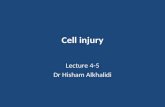 Cell injury Lecture 4-5 Dr Hisham Alkhalidi. Mechanisms of cell deposition, diagram.