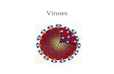 Viruses. What is a virus ? Viruses are submicroscopic, obligate intracellular parasites Morphologically, virus particle is a protein shell, in which the.